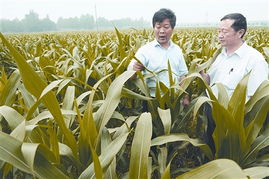 新型农业现代化夯实基础 日用百货产业迎来新机遇