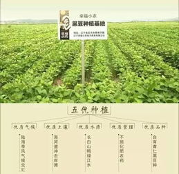 三万元撬动乡村致富梦 一块地如何孕育出两大产业奇迹