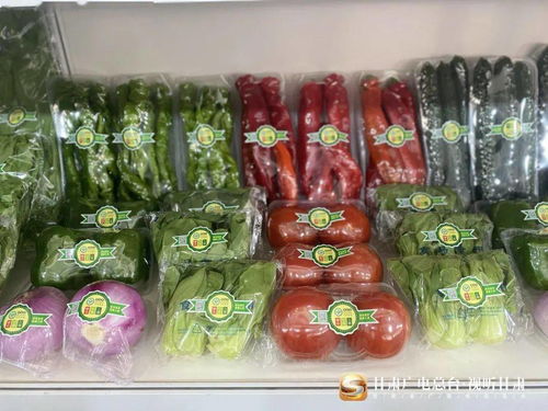 甘肃广电总台举办2021甘味特色农产品贸易洽谈会，助力日用百货行业新拓展