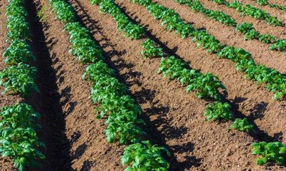 农村创业新机遇 小成本日用品百货项目，开启致富快车道