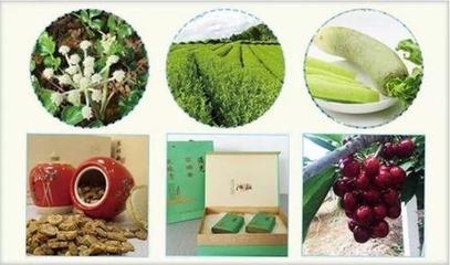 她从未站起过，却为家乡农产品销售600多万元