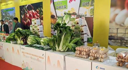 从朝阳到朝阳 | 土特产闯京城——朝阳市名优农产品亮相全国农展馆1号馆暨日用百货展