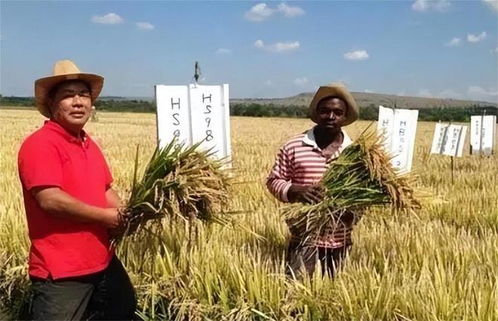 中国撤销110万吨订单，正式对日下达“逐客令”，日媒警示“收回生命线”